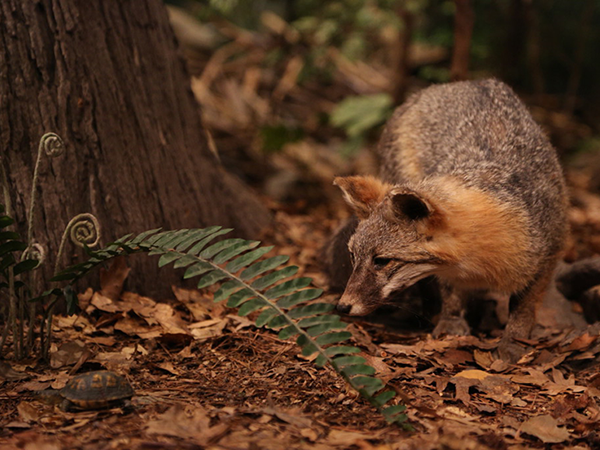 Biodiversity Tour